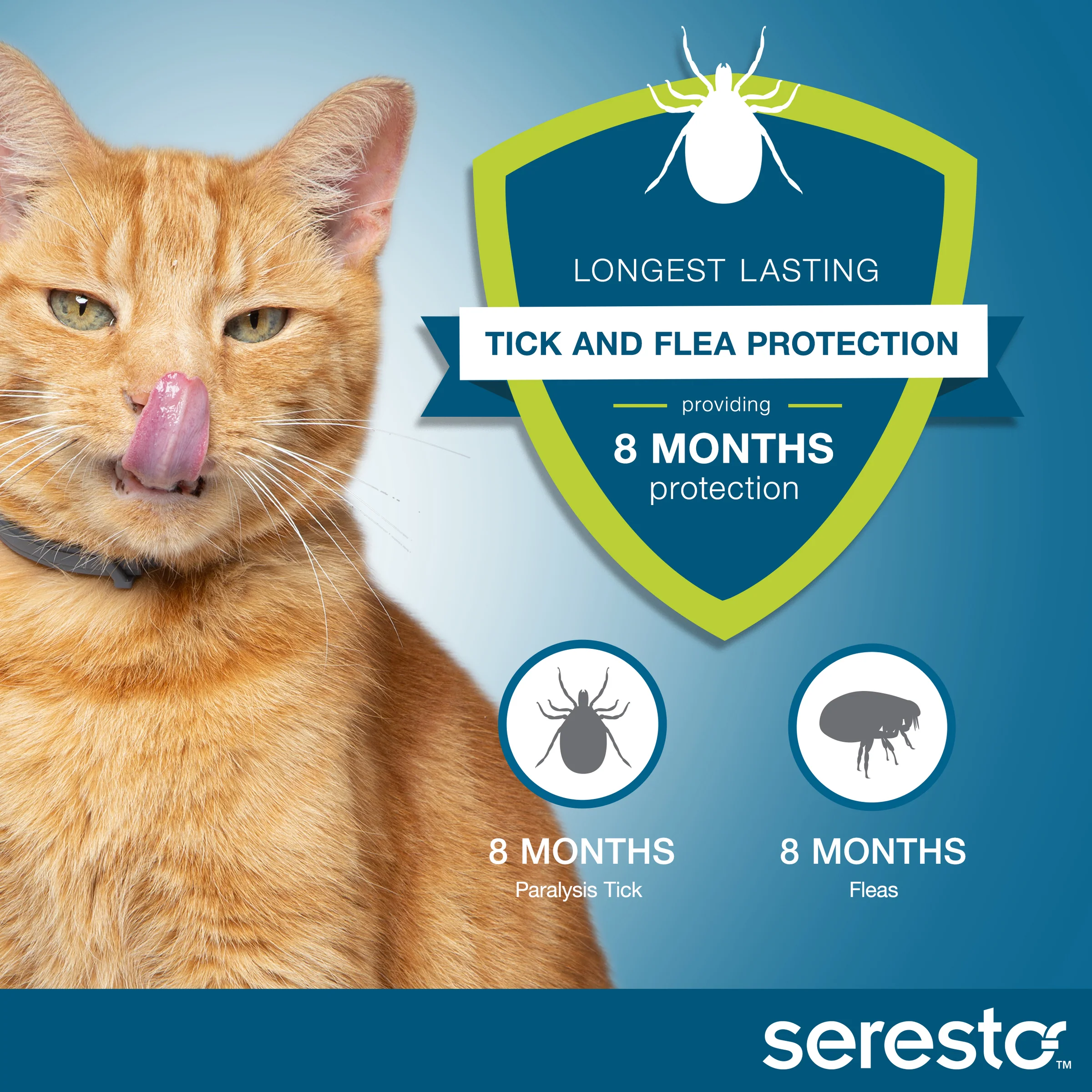 Seresto Flea and Tick Collar for Cats and Kittens - Orange - Image 5