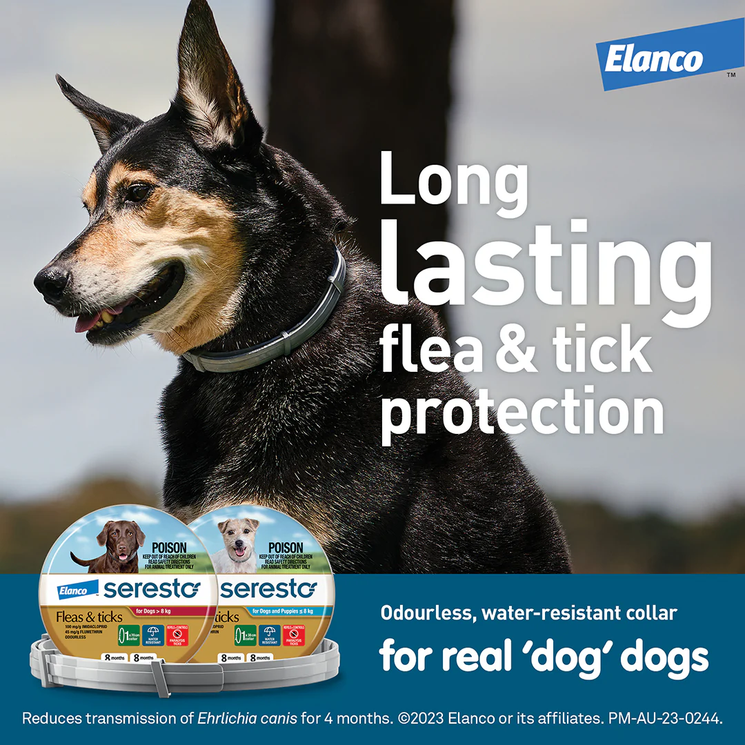 Seresto Flea and Tick Collar for Dogs Over 18lbs (Red) - Image 10