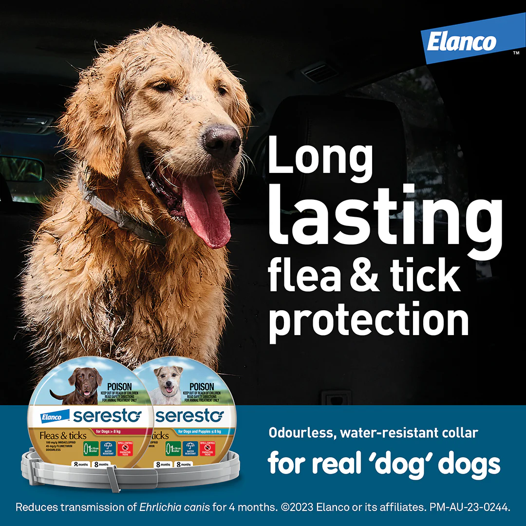 Seresto Flea and Tick Collar for Dogs Over 18lbs (Red) - Image 11