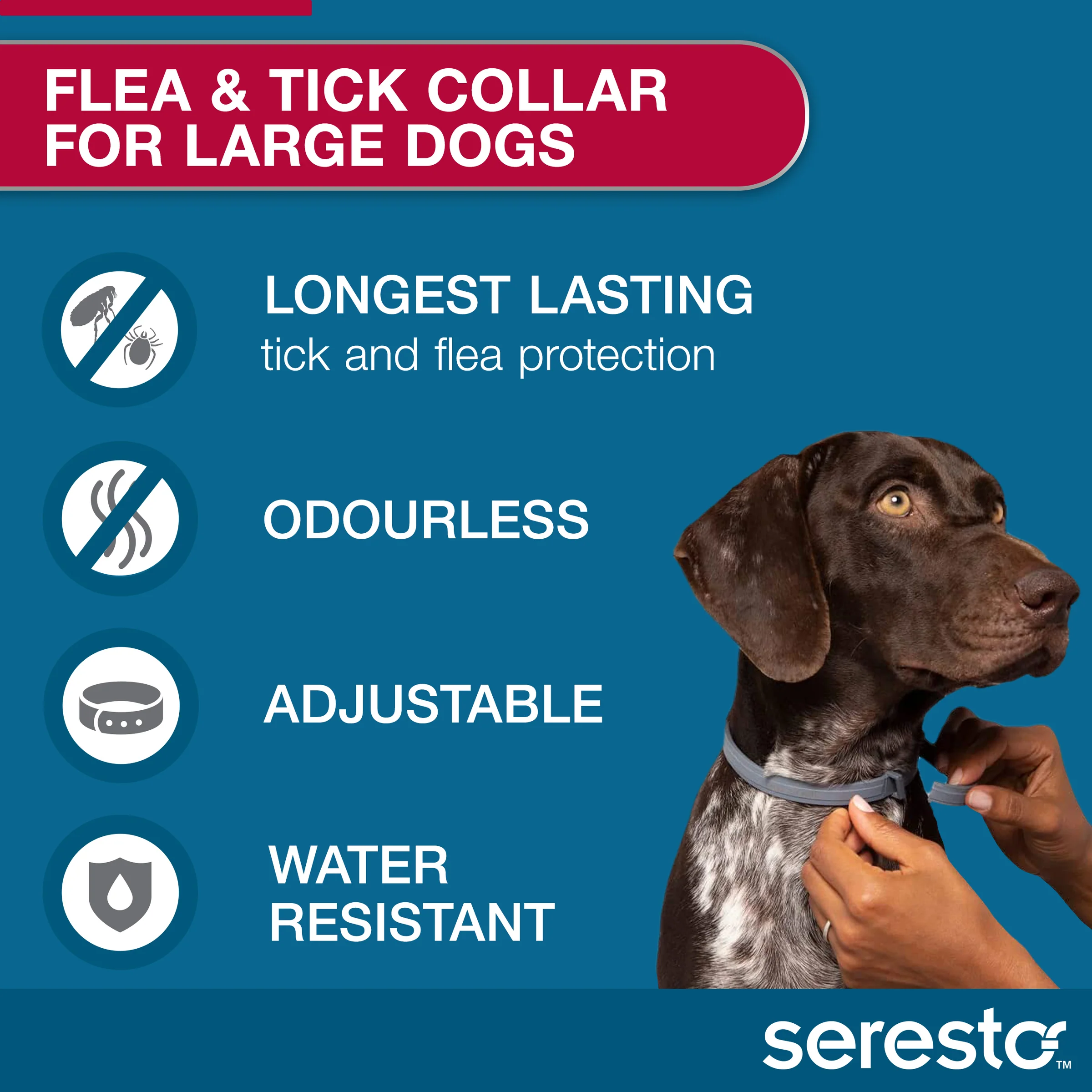 Seresto Flea and Tick Collar for Dogs Over 18lbs (Red) - Image 4