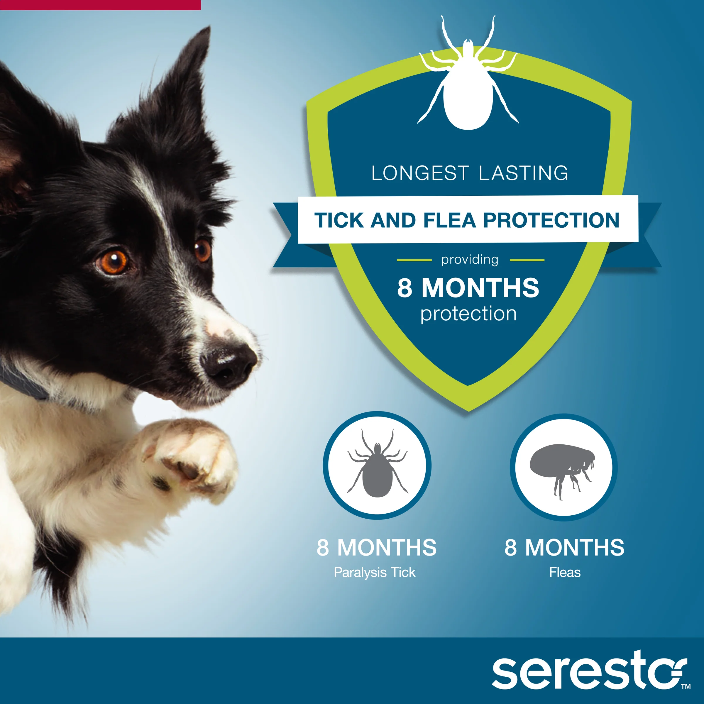 Seresto Flea and Tick Collar for Dogs Over 18lbs (Red) - Image 5