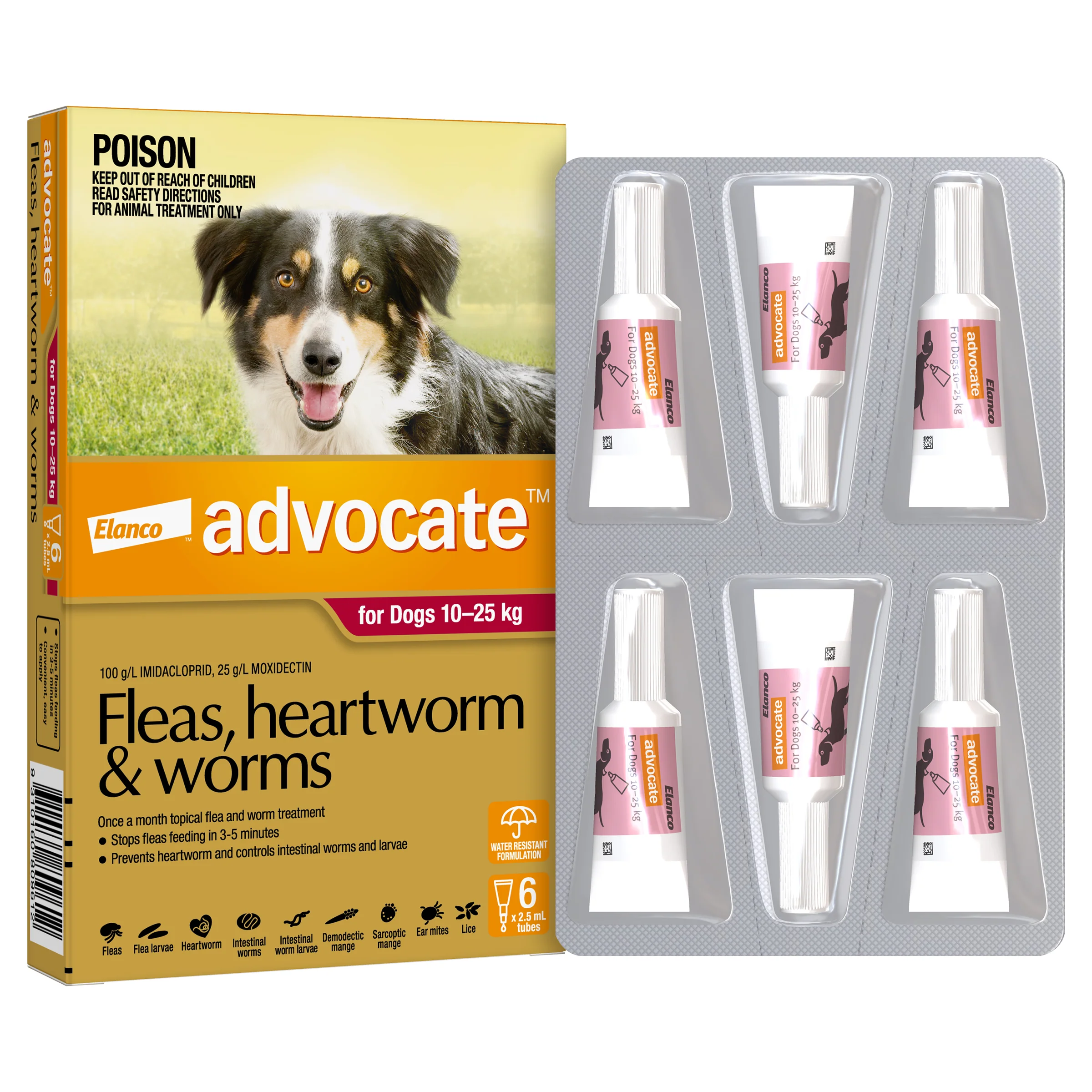 Advocate Spot-On For Dogs 20.1-55 lbs (10-25kg) - Image 4