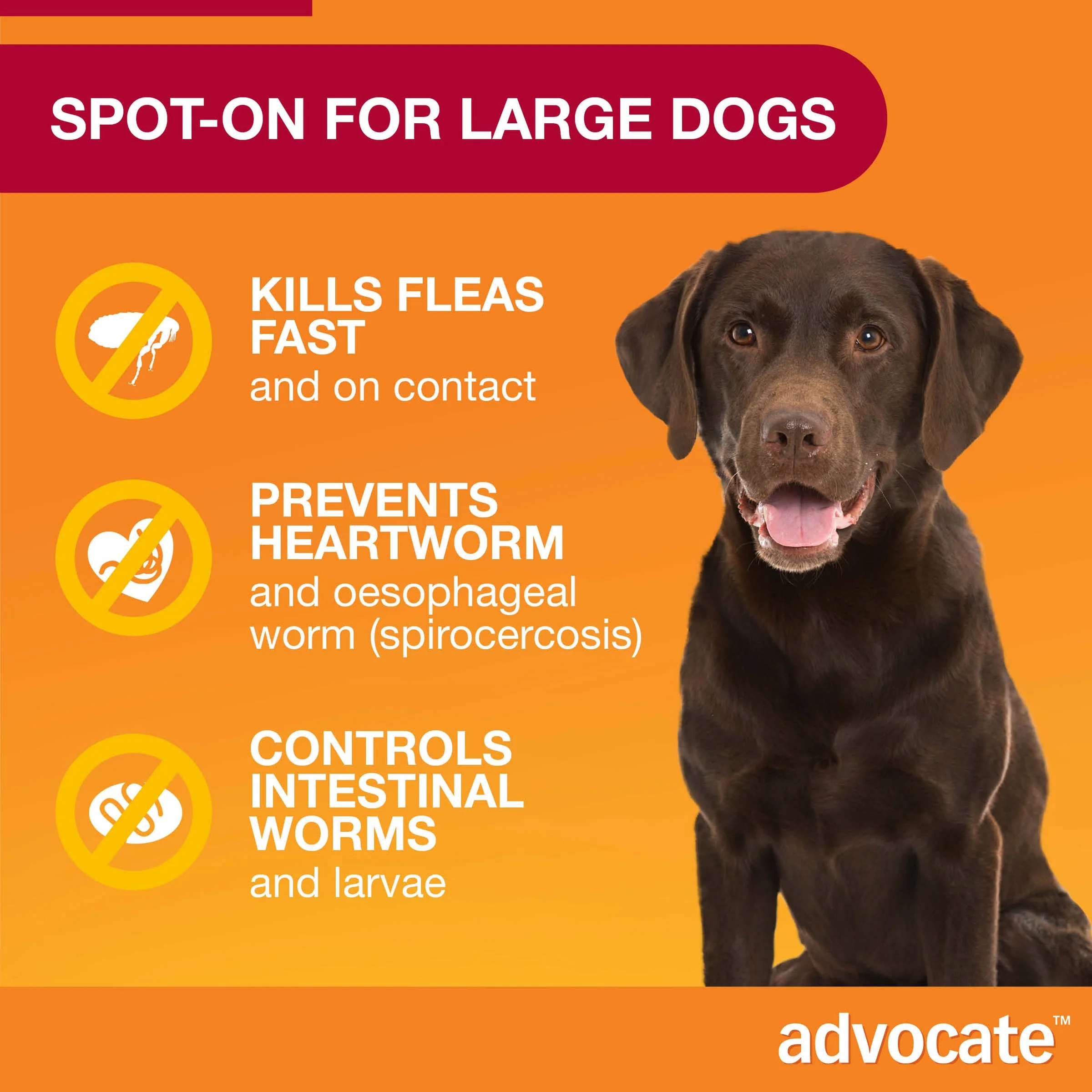 Advocate Spot-On For Dogs 20.1-55 lbs (10-25kg) - Image 5