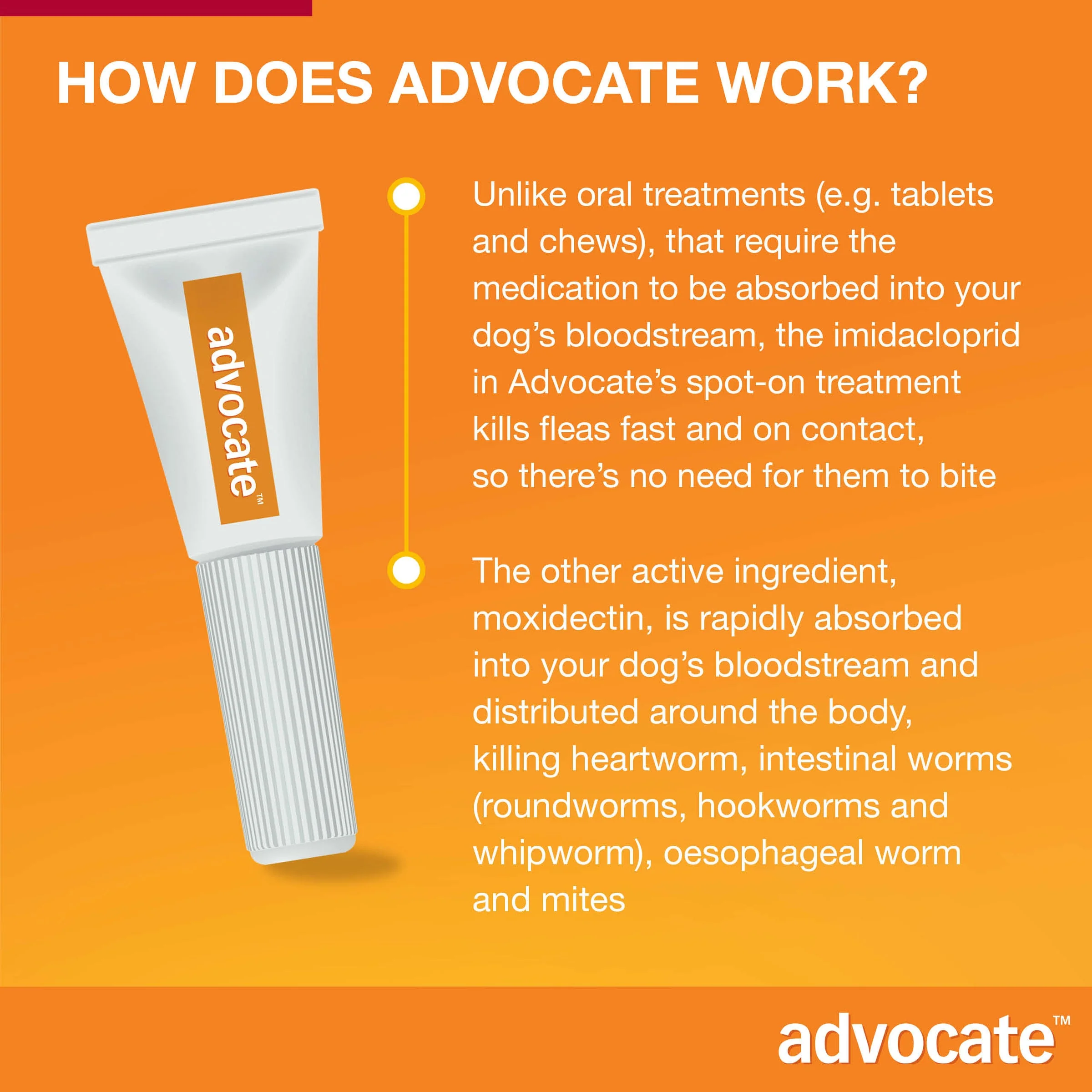 Advocate Spot-On For Dogs 20.1-55 lbs (10-25kg) - Image 8