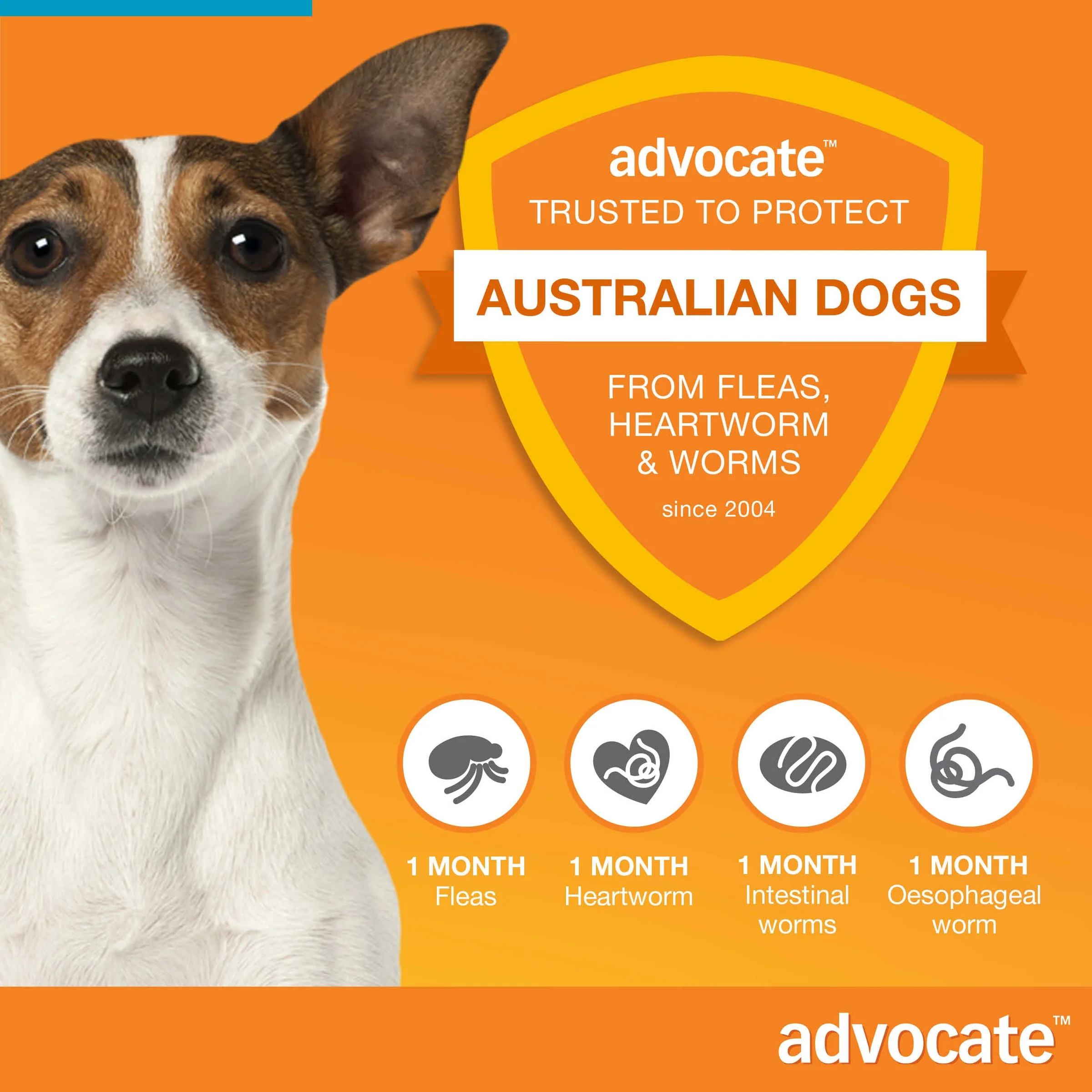 Advocate Spot-On For Dogs 9.1-20 lbs (4-10kg) - Image 6