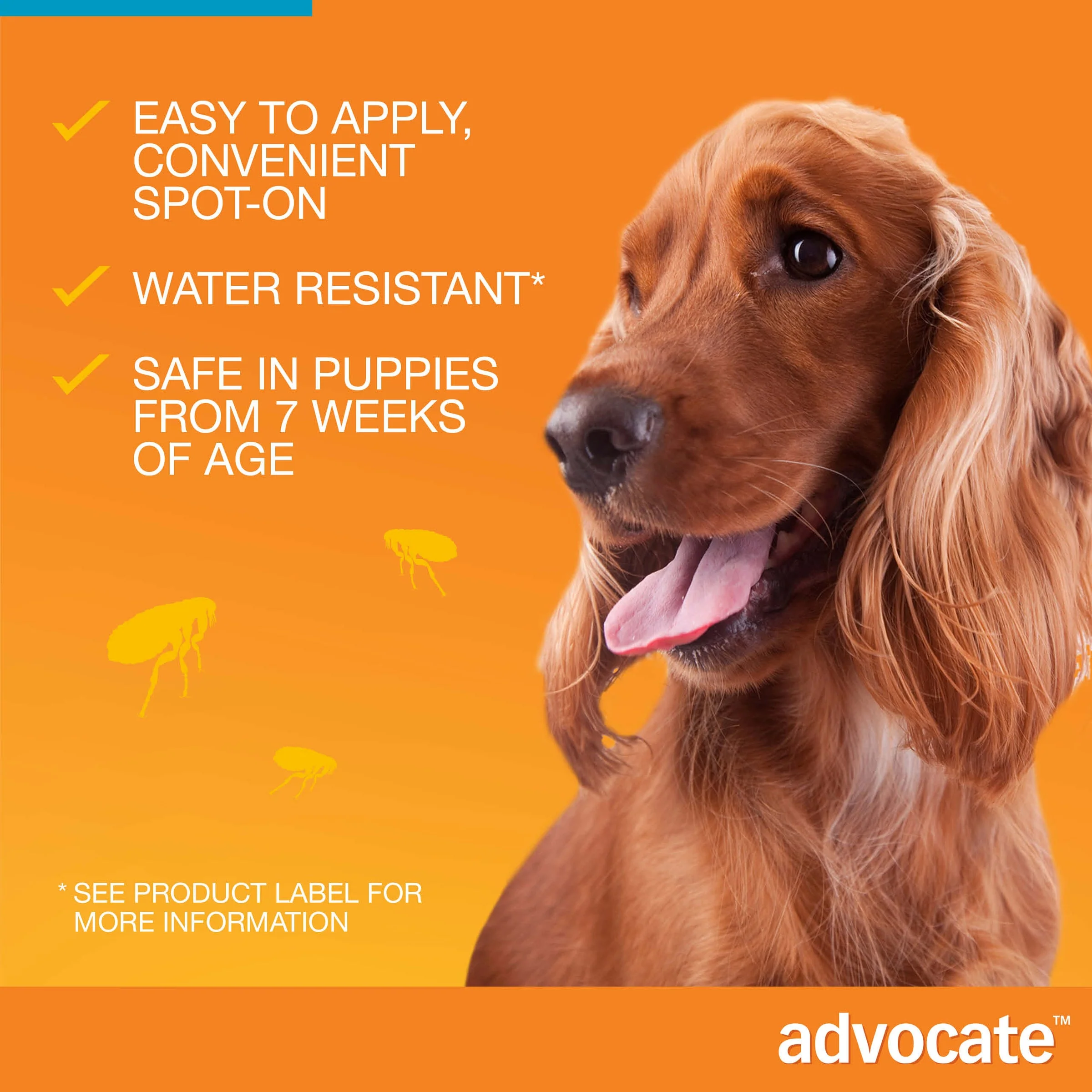 Advocate Spot-On For Dogs 9.1-20 lbs (4-10kg) - Image 7