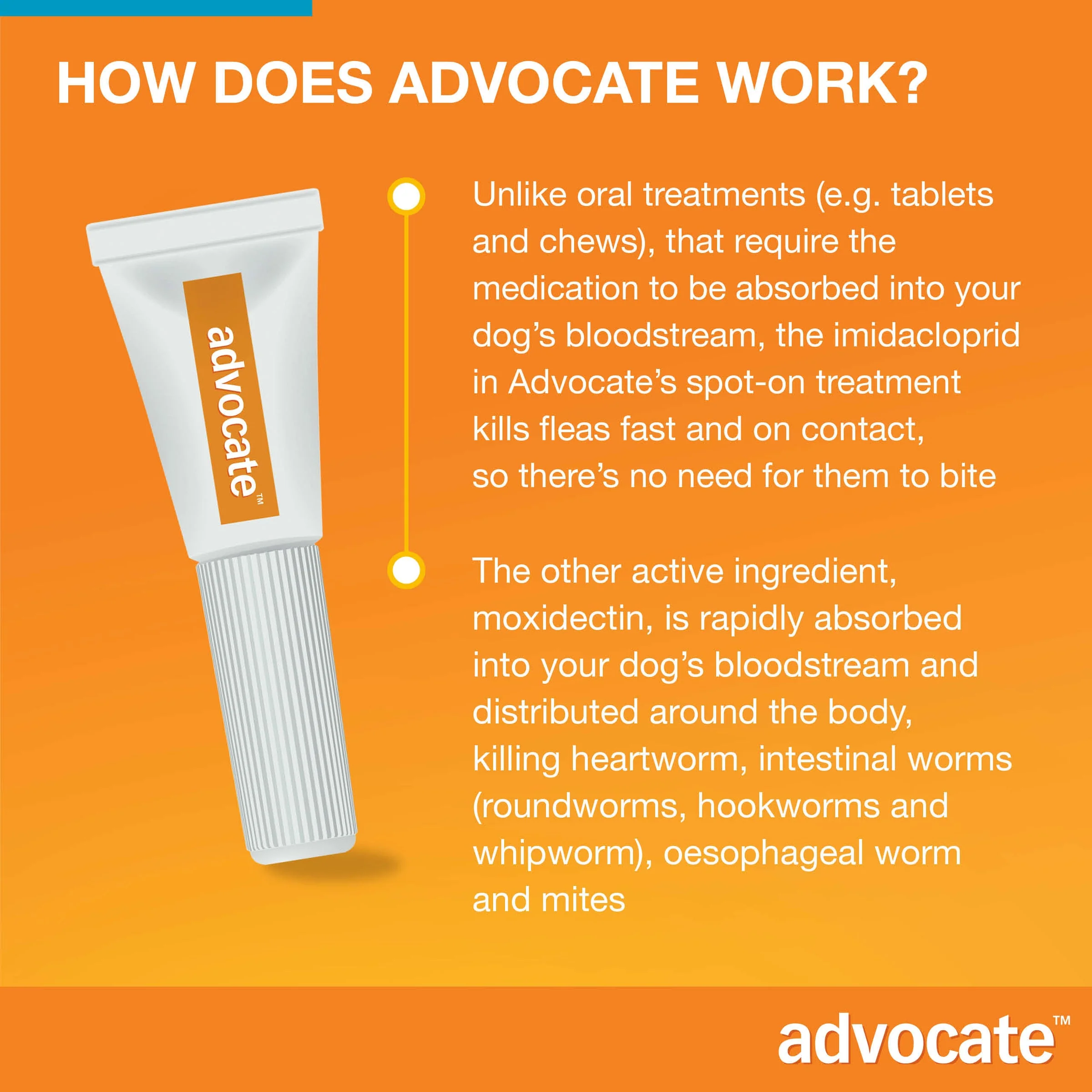 Advocate Spot-On For Dogs 9.1-20 lbs (4-10kg) - Image 9