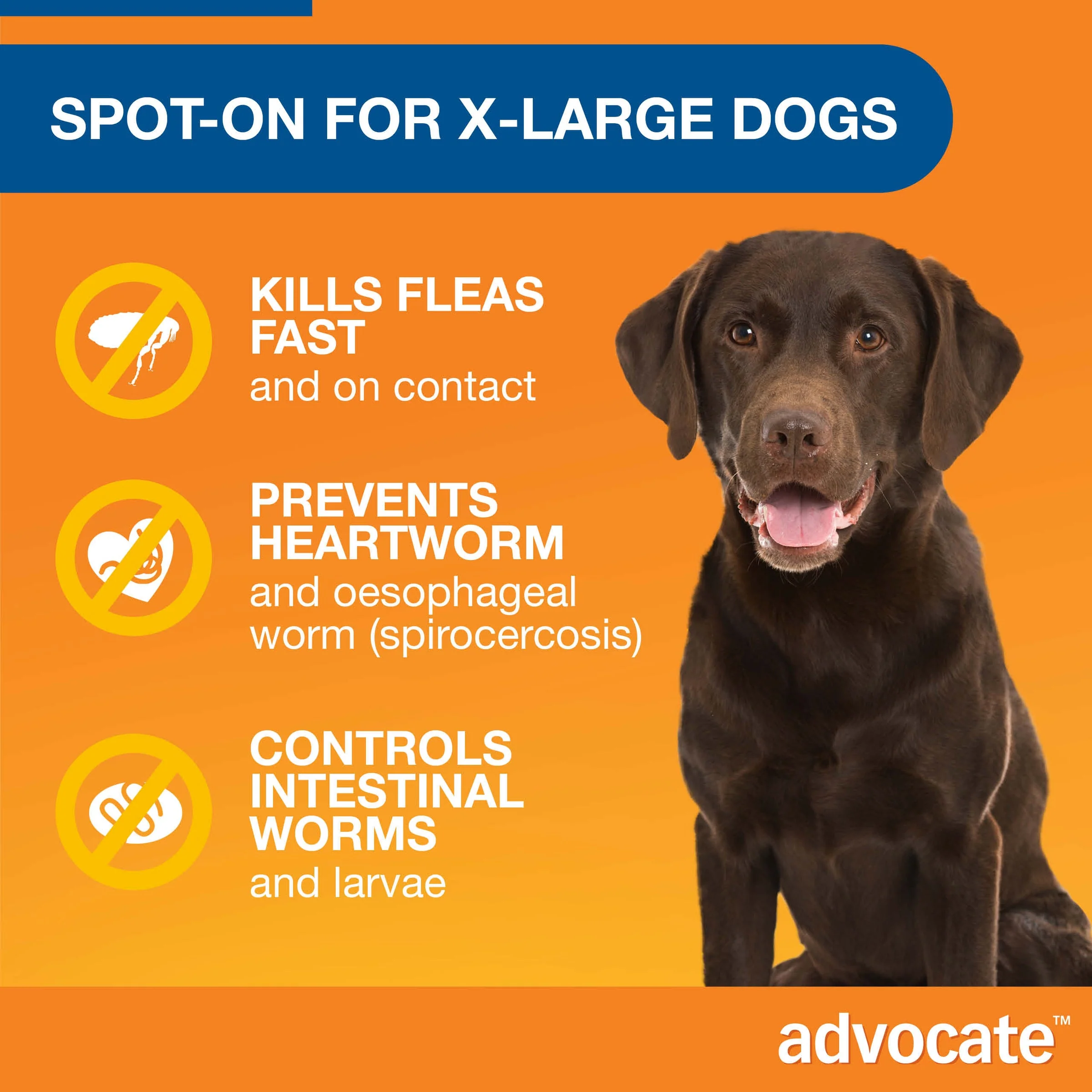 Advocate Spot-On For Dogs over 55lbs (25kg up) - Image 4