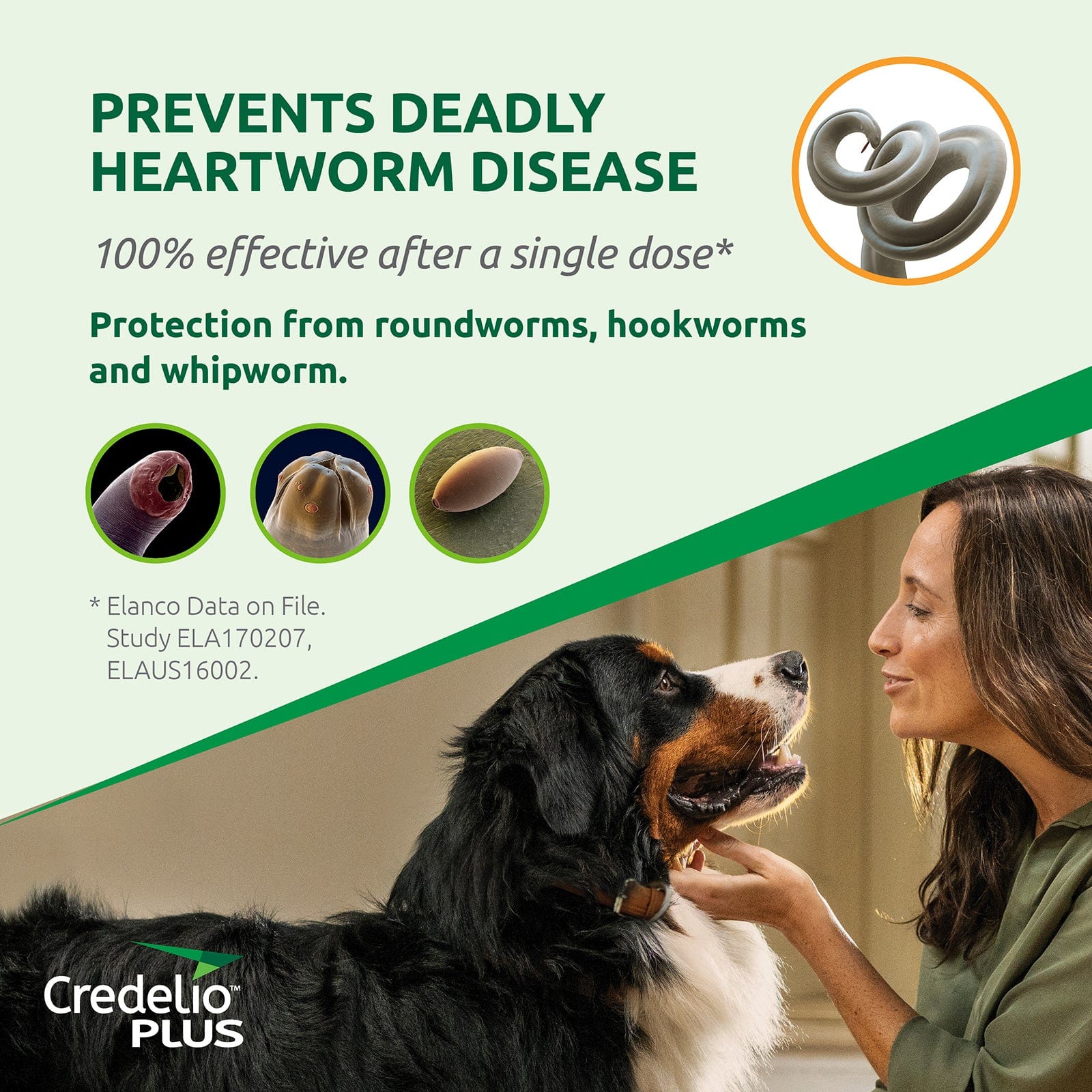 Credelio Plus Chews For Dogs 48.1-99lbs (Blue) - Image 8