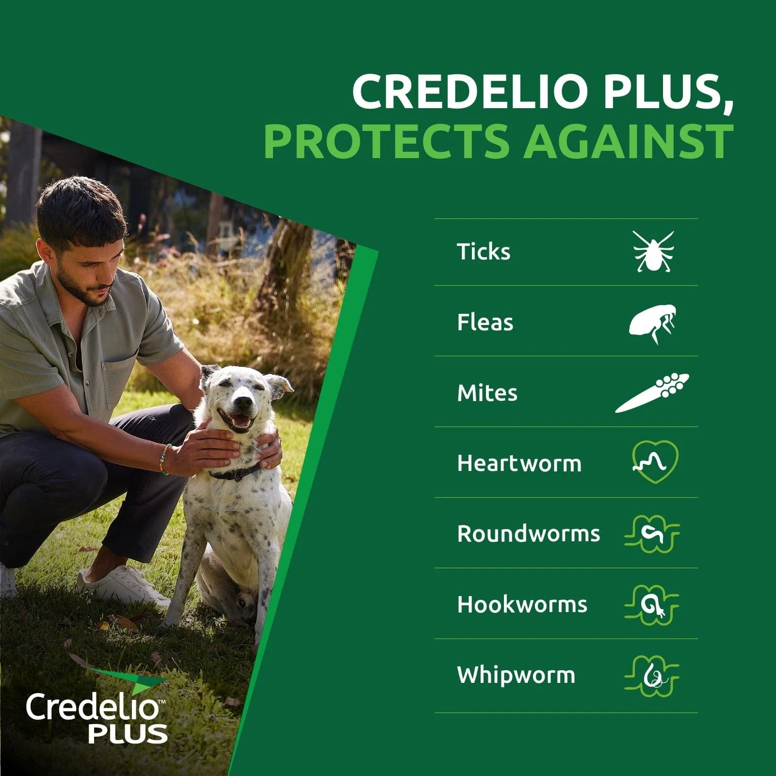 Credelio Plus Chews For Dogs 6.2-12lbs (Pink) - Image 5