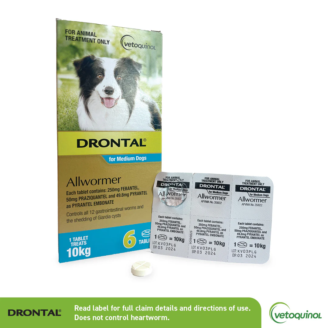 Drontal Allwormer for Medium Dogs Up to 22lbs (10kg) - Image 3