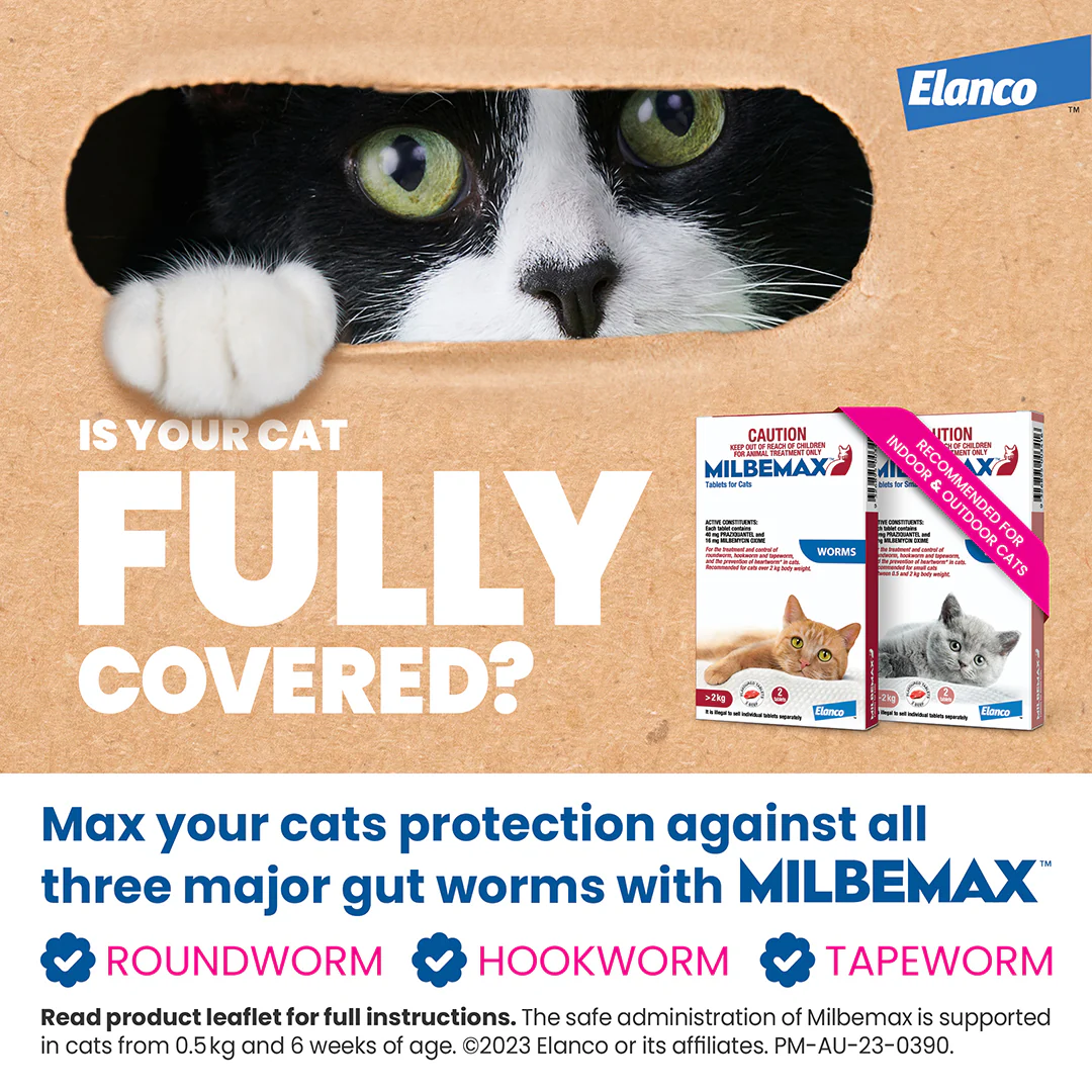 Milbemax Allwormer Cat Large 4.4 - 17.6lbs 2pk - Image 4