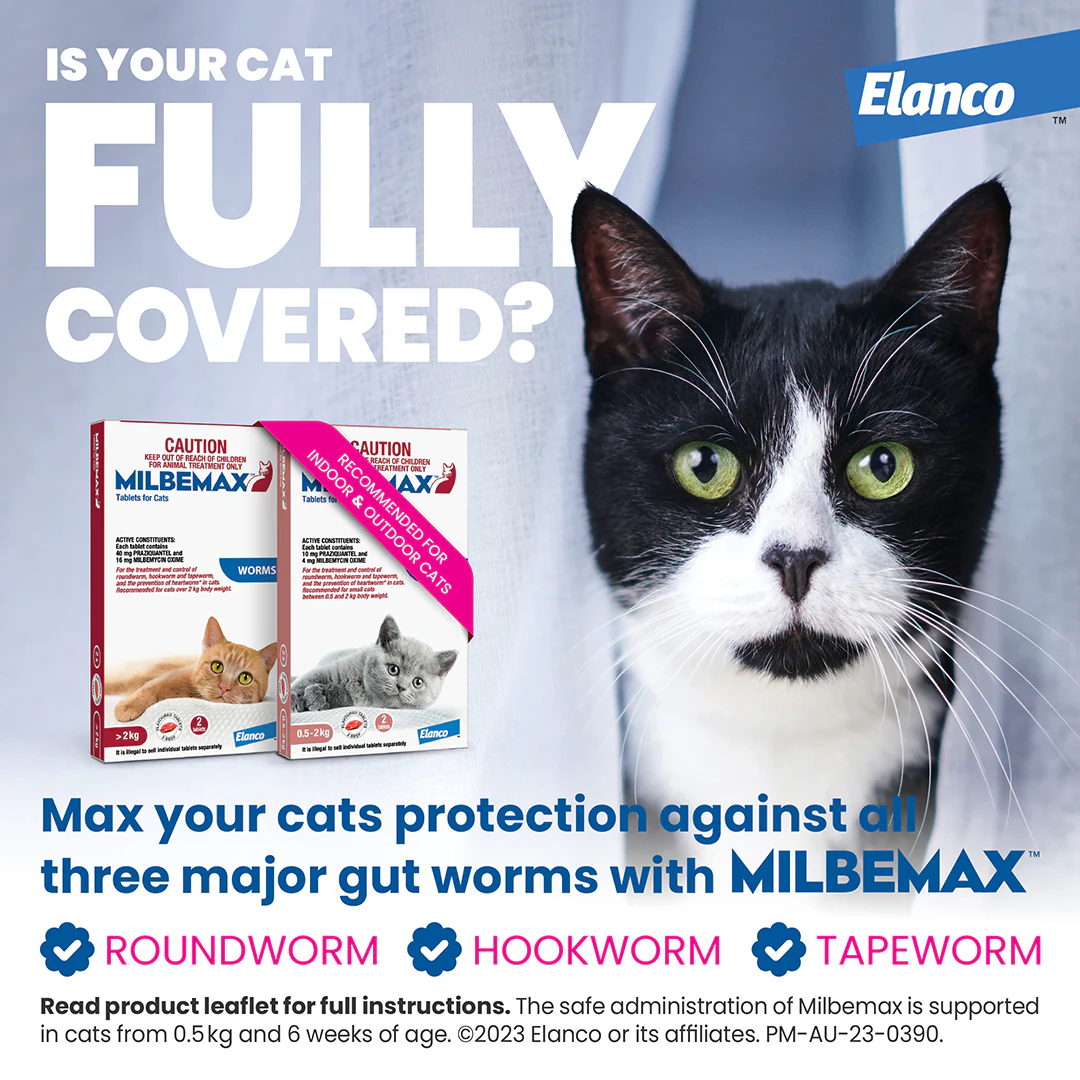 Milbemax Allwormer Cat Large 4.4 - 17.6lbs 2pk - Image 6
