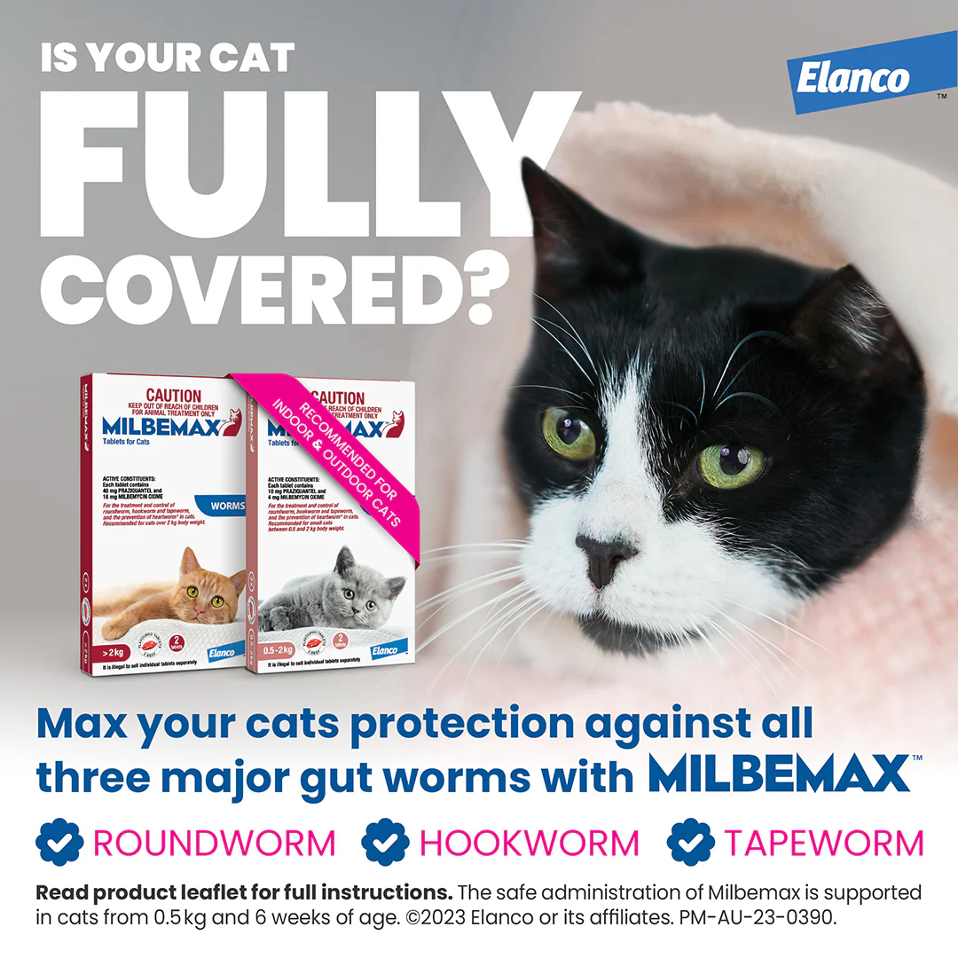 Milbemax Allwormer Cat Small 1.1 - 4.4lbs 2pk - Image 6