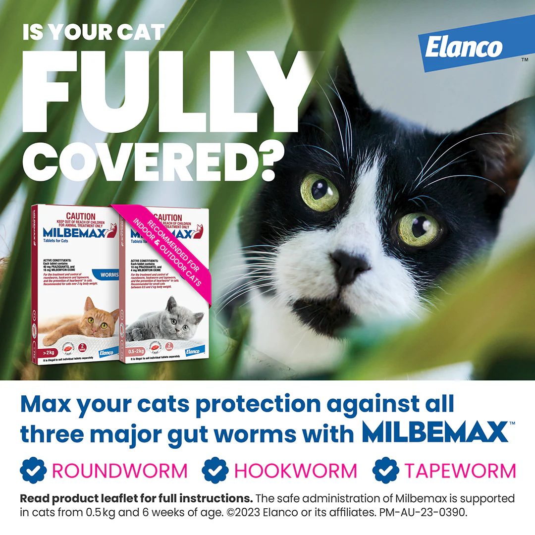 Milbemax Allwormer Cat Small 1.1 - 4.4lbs 2pk - Image 7
