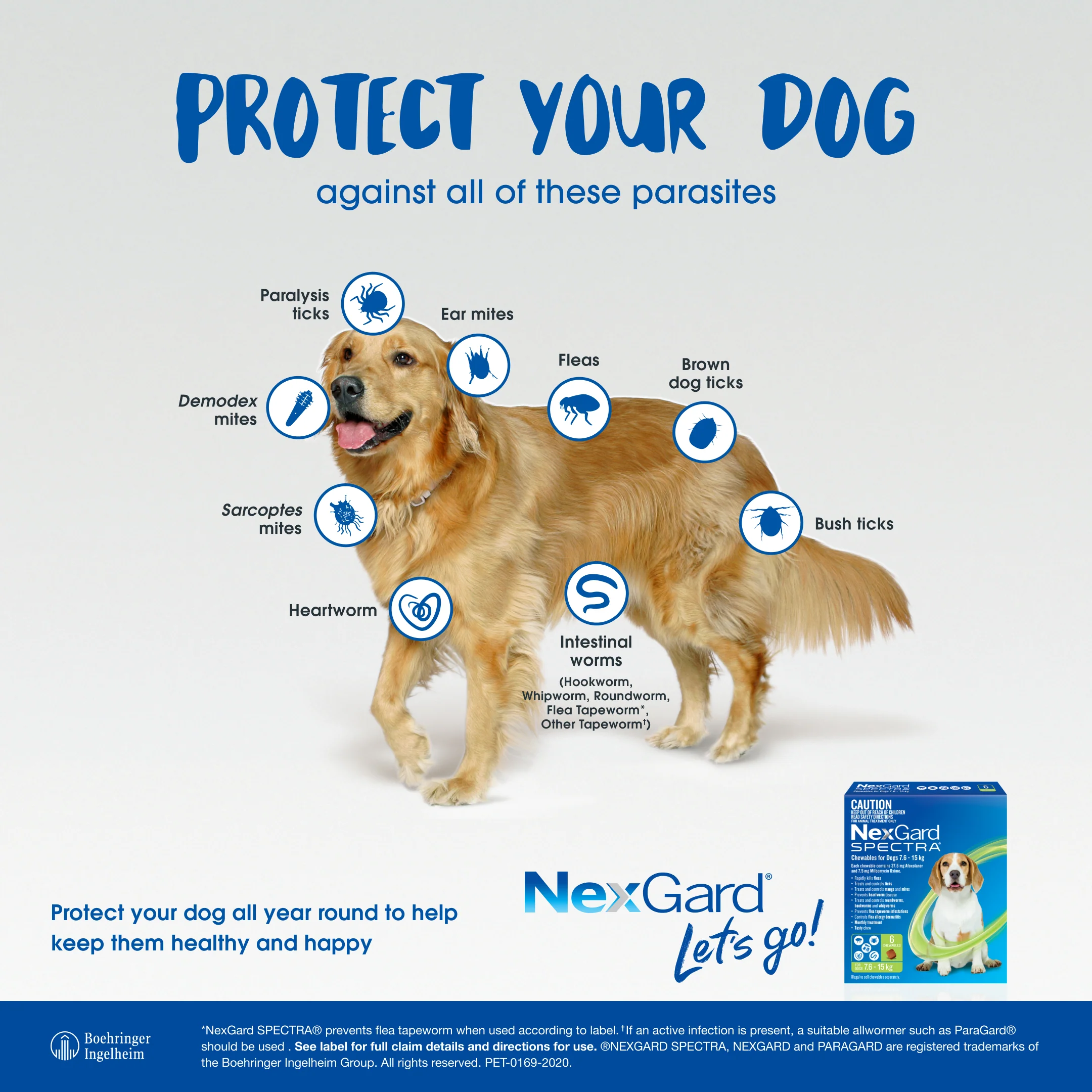 NexGard Spectra Chewables for Extra Small Dogs 4.4–7.7 lbs (2–3.5 kg) – Orange - Image 3