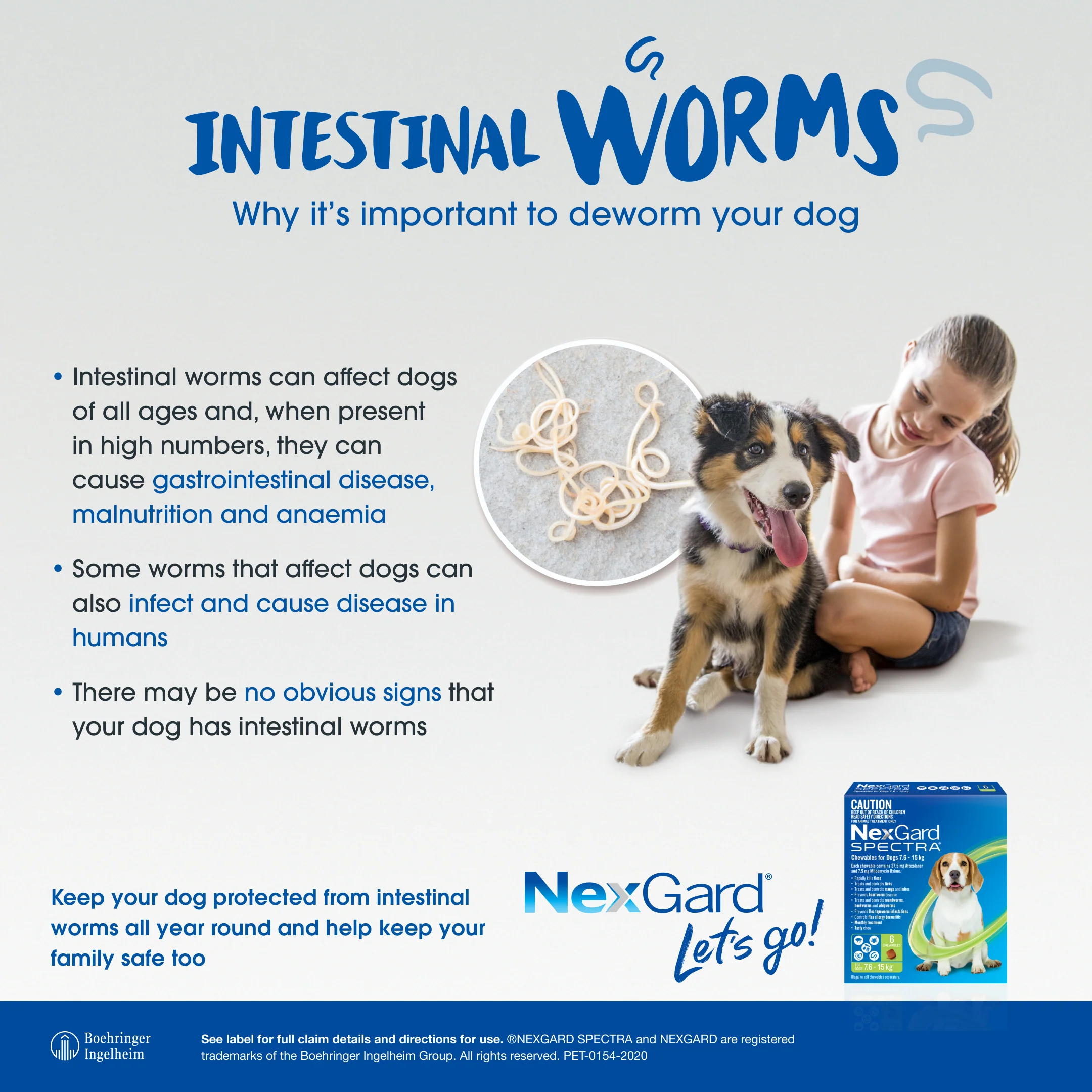 NexGard Spectra Chewables for Extra Small Dogs 4.4–7.7 lbs (2–3.5 kg) – Orange - Image 7